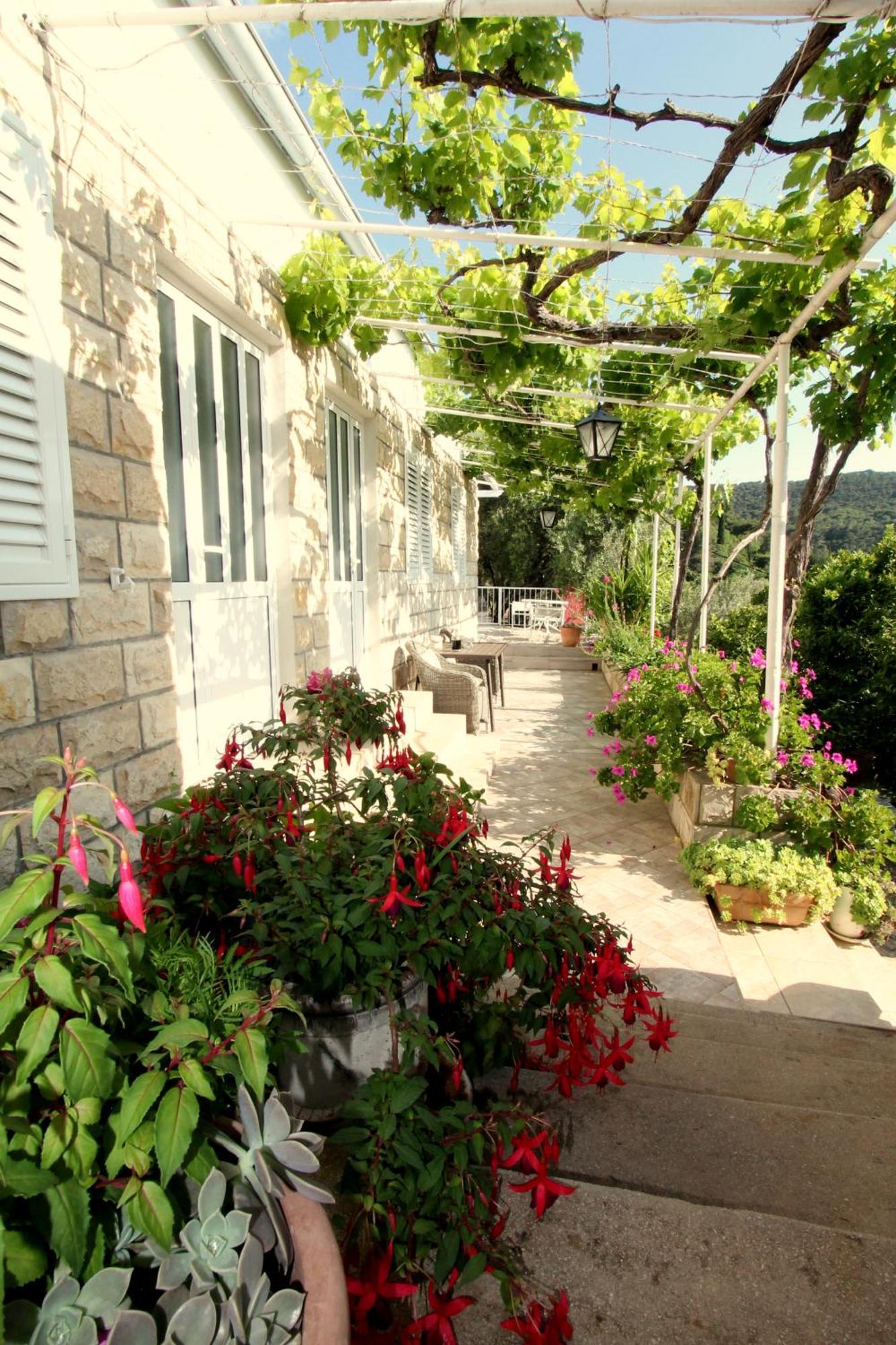 Apartments Cervelin Lopud Екстериор снимка
